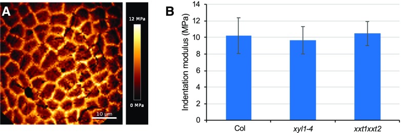 Figure 6.