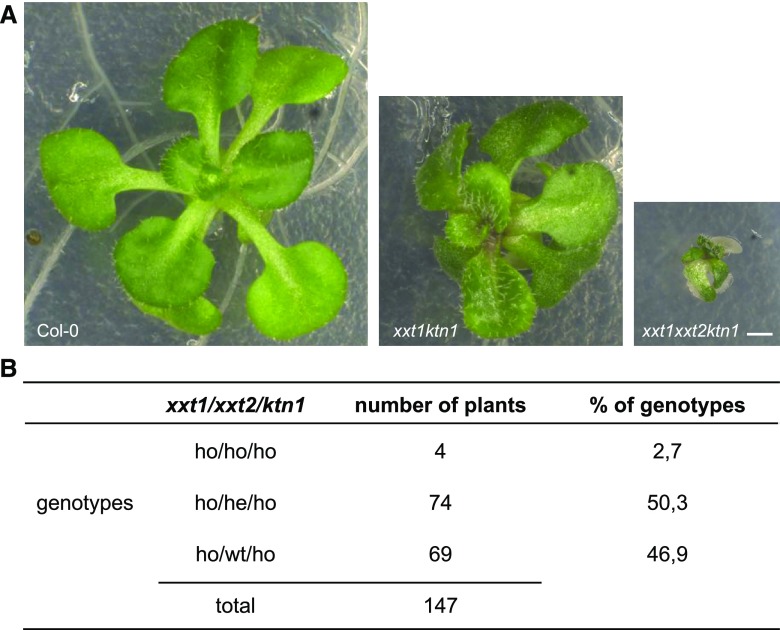 Figure 10.