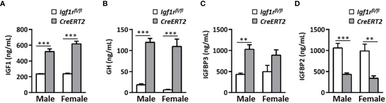 Figure 3