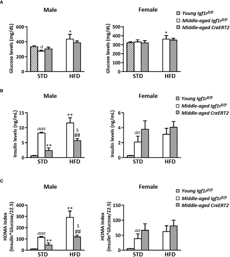 Figure 6