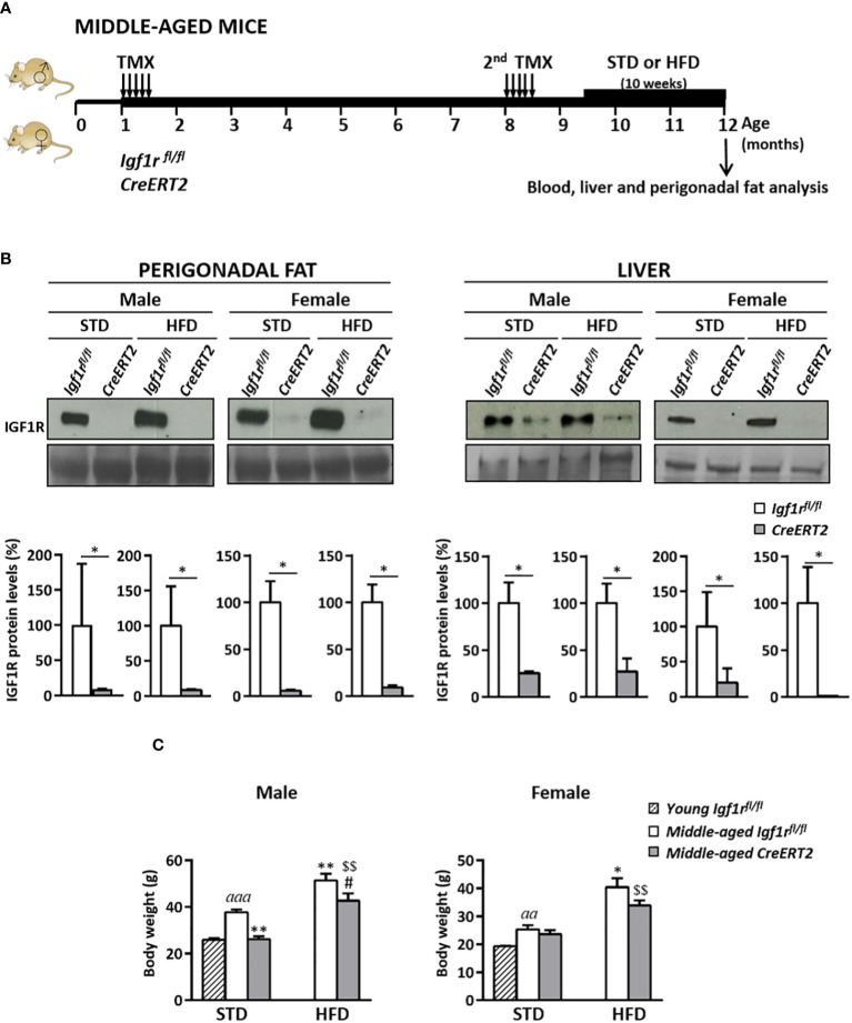 Figure 5