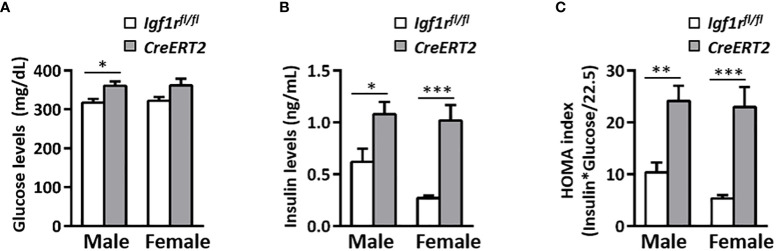 Figure 2