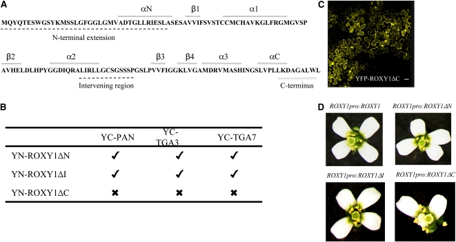 Figure 3.