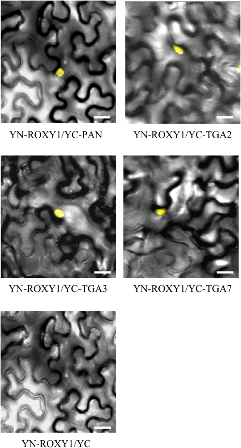 Figure 2.