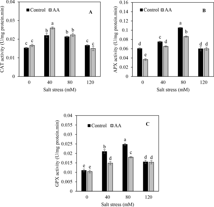 Figure 4