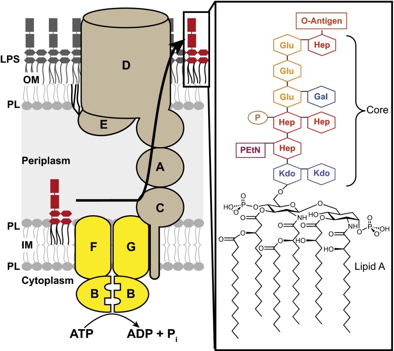 Fig. 1.