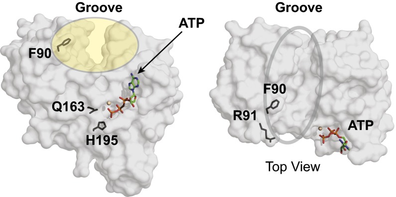 Fig. 5.