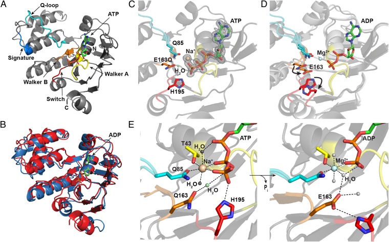 Fig. 4.