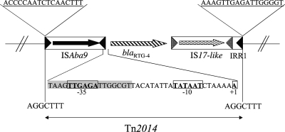 FIG. 2.