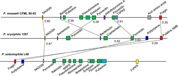 FIGURE 3