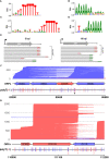 Figure 3