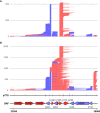 Figure 6