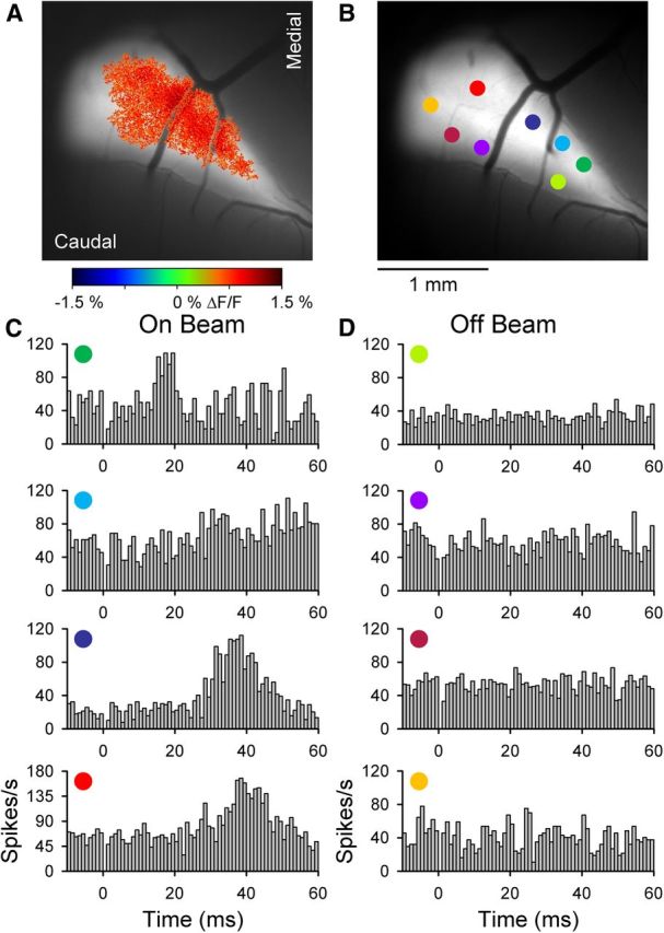 Figure 4.