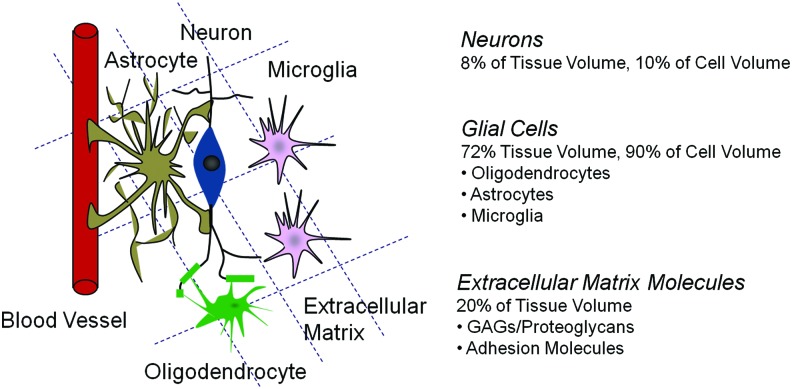 FIG. 1.