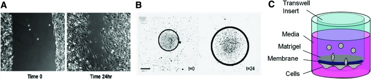 FIG. 3.