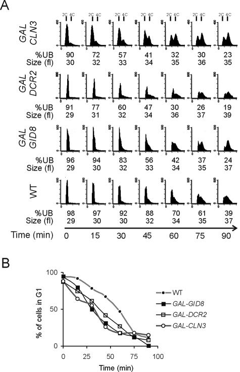 FIG. 2.