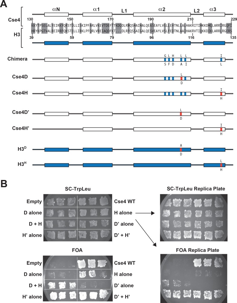 Figure 1—figure supplement 2.