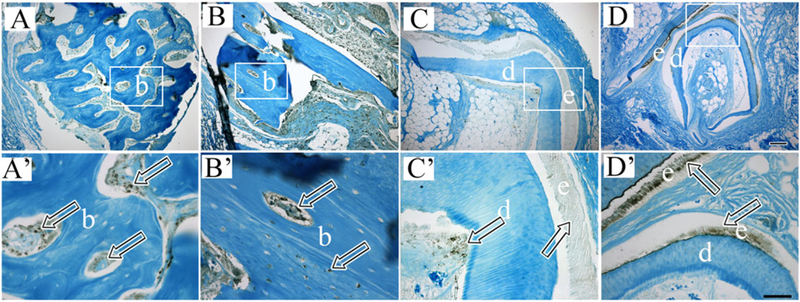 Figure 6.