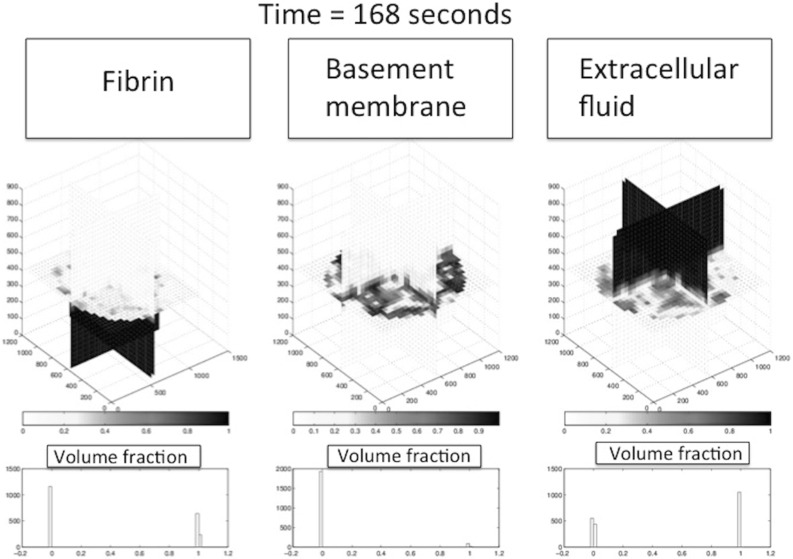 Fig. 8