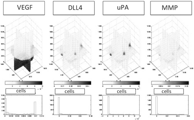 Fig. 12