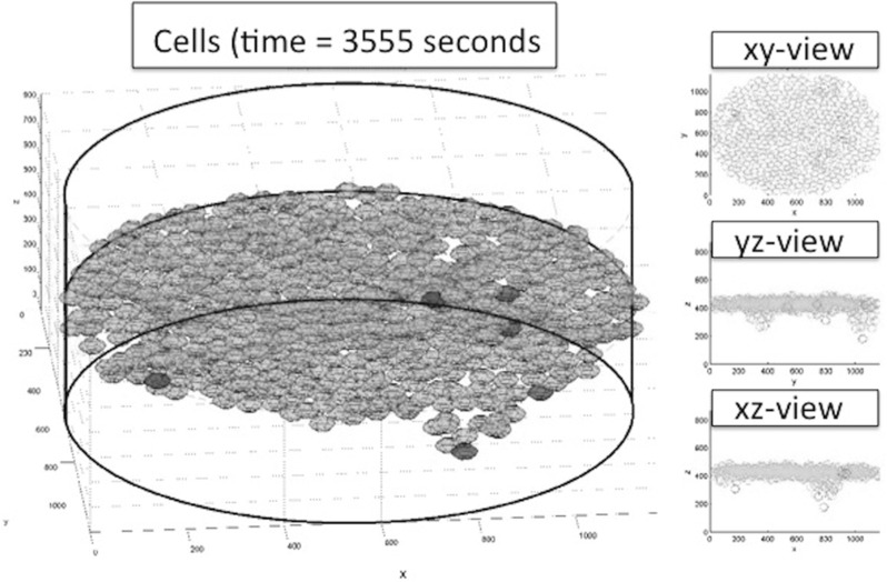 Fig. 9