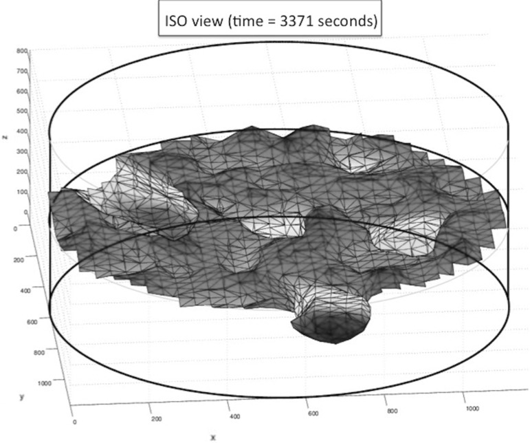 Fig. 10