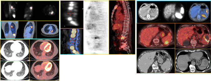 Fig. 6