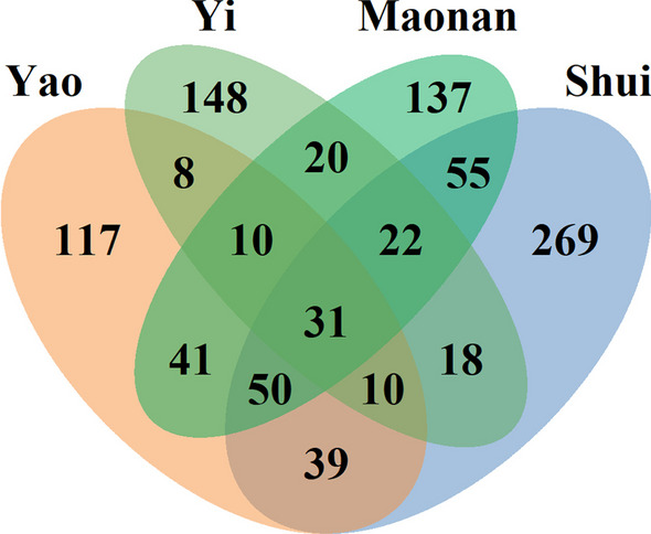Fig. 10
