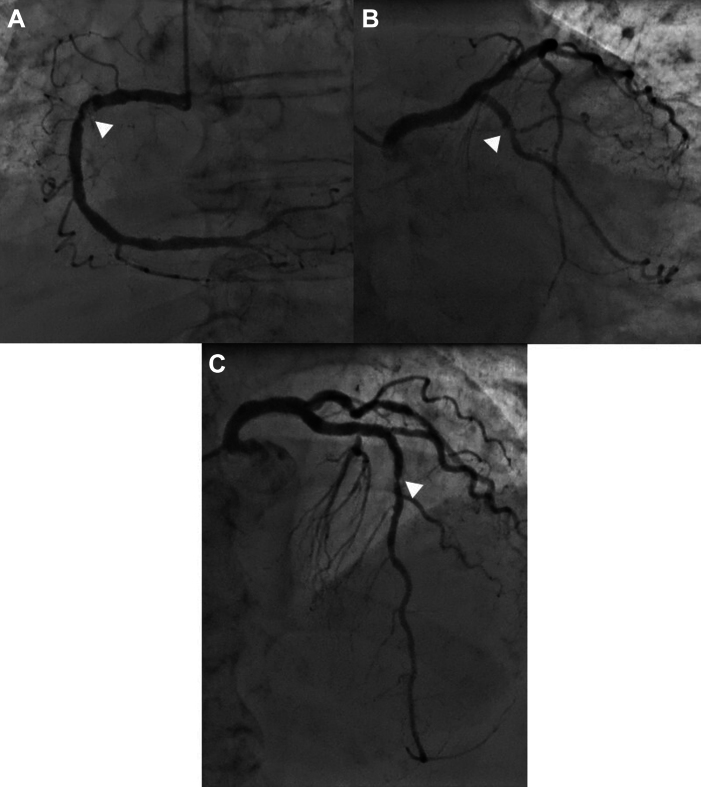 Figure 4