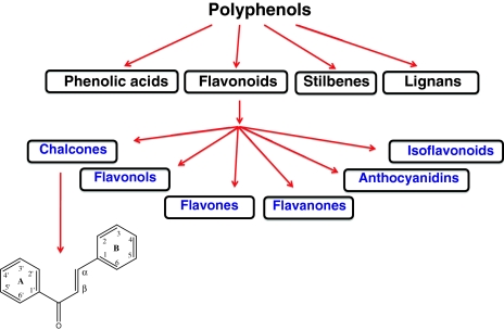 Fig. 1