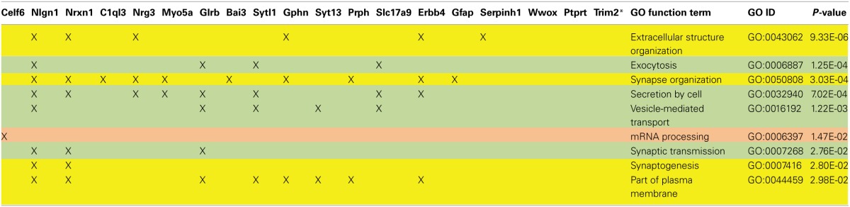 graphic file with name fnins-08-00389-i0004.jpg