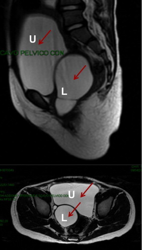 Fig.1