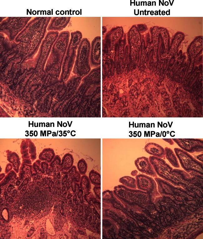 FIG 1