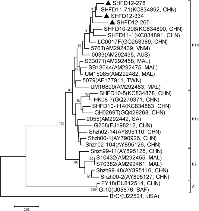 Fig 6