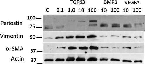 FIG. 8.