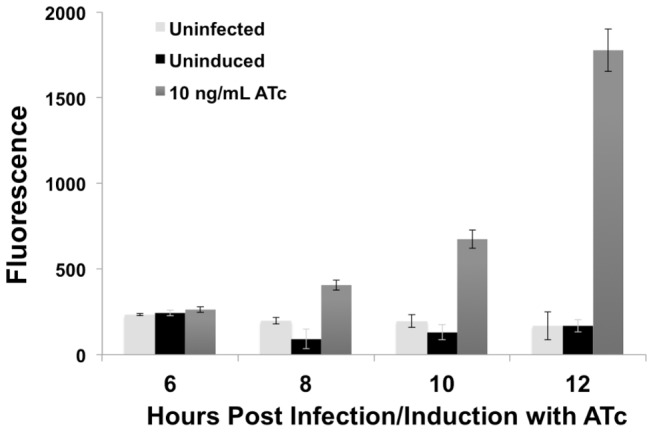 Figure 6