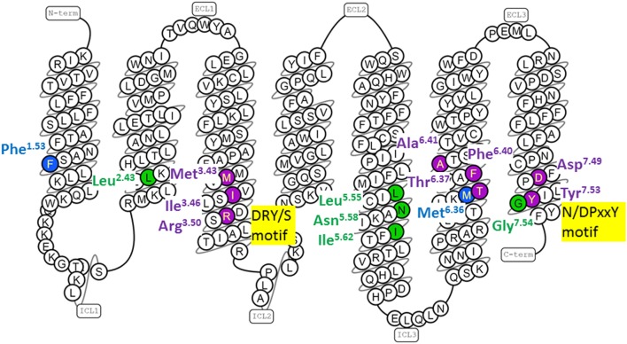 Gonadotropin-Releasing Hormone (GnRH) Receptor Structure and GnRH ...