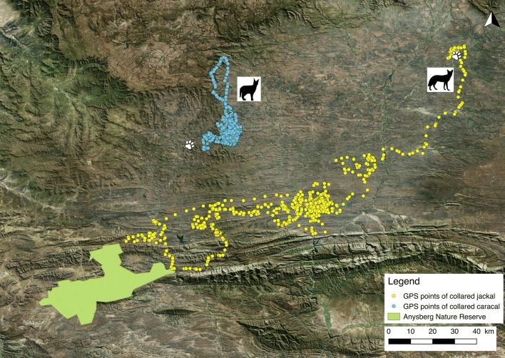 Fig. 4