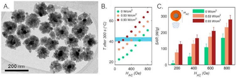 Figure 10