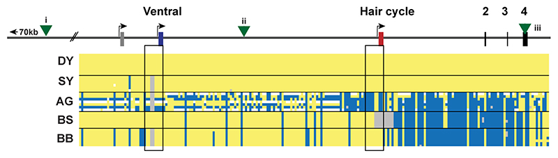 Extended Data Fig. 2