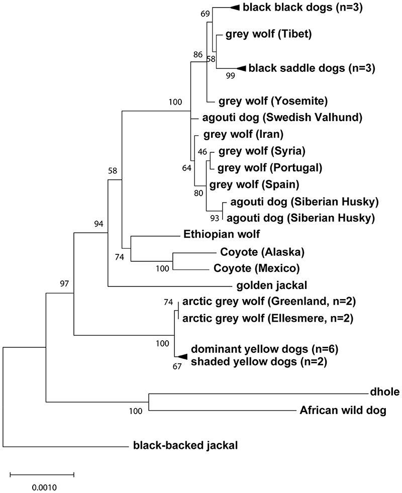 Extended Data Fig. 4