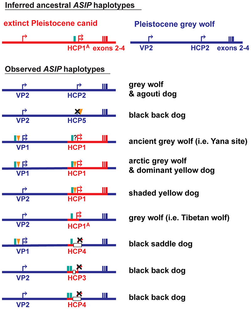 Extended Data Fig. 7