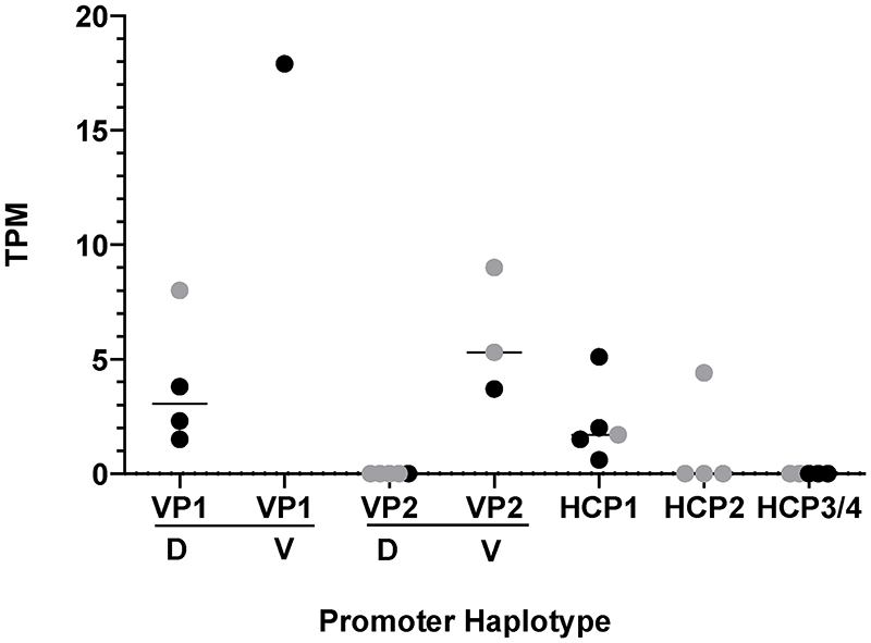 Extended Data Fig. 1