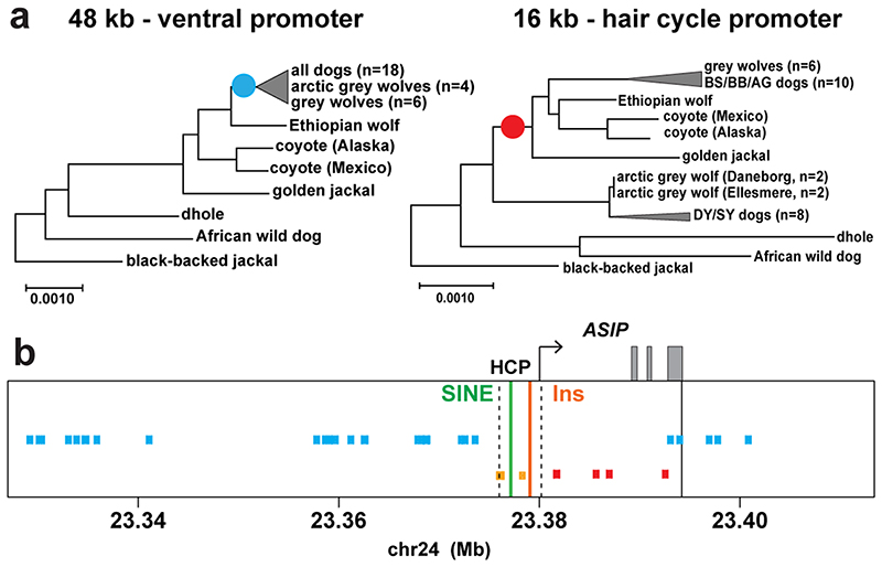 Extended Data Fig. 5