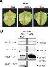 Fig. 6