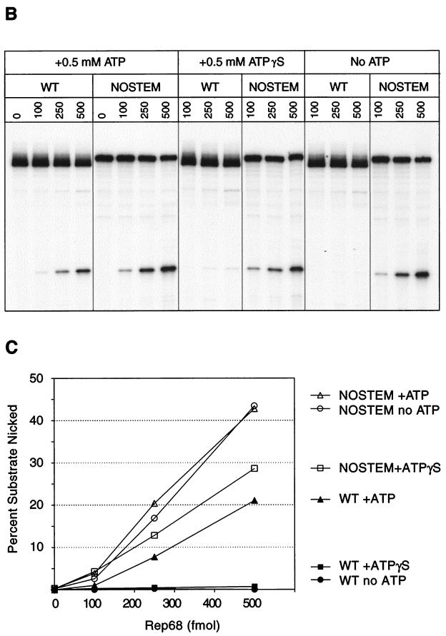 FIG. 7