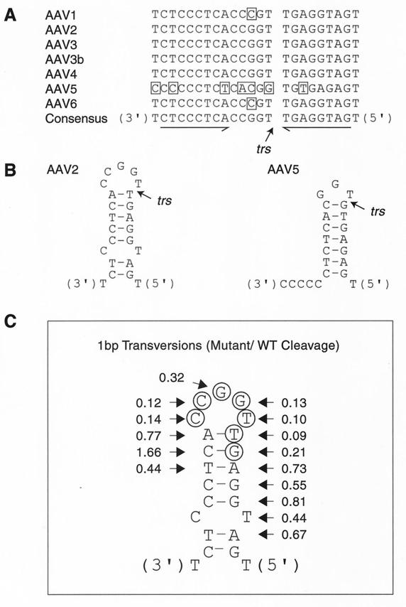 FIG. 6