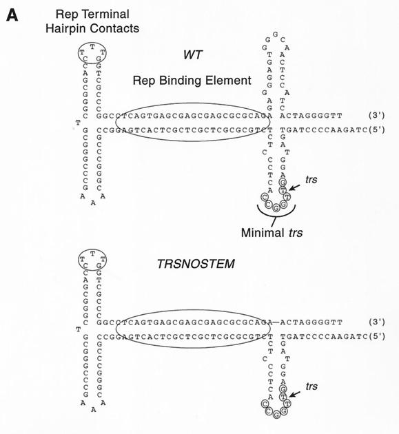 FIG. 7