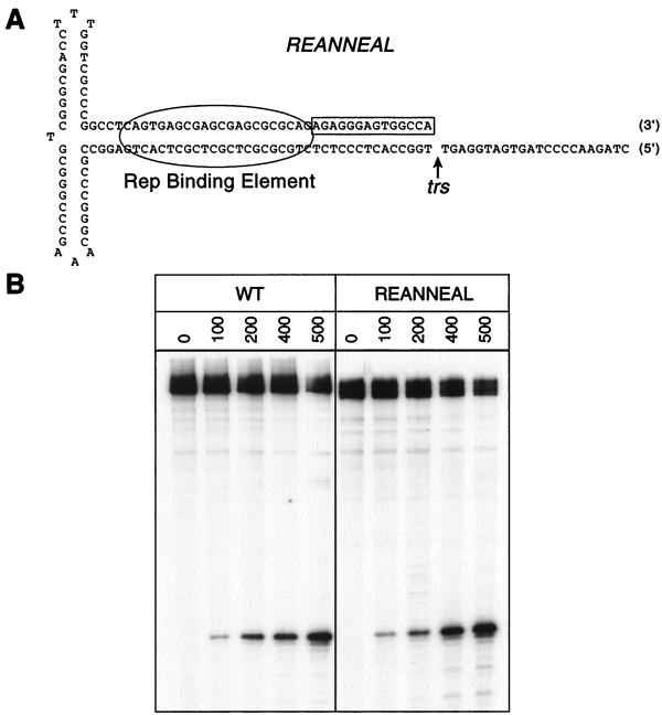 FIG. 5