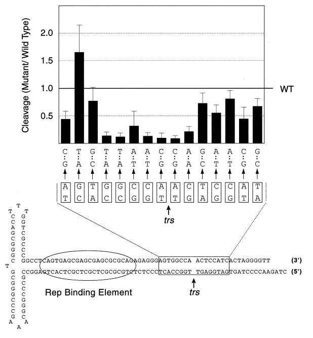 FIG. 3